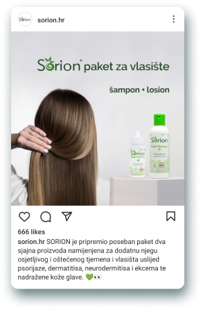 Case Study – Sorion.hr